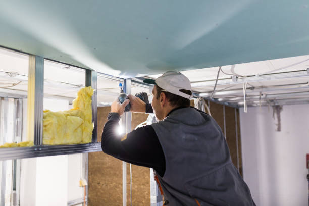 Best Commercial Insulation in Ly Lake, IL
