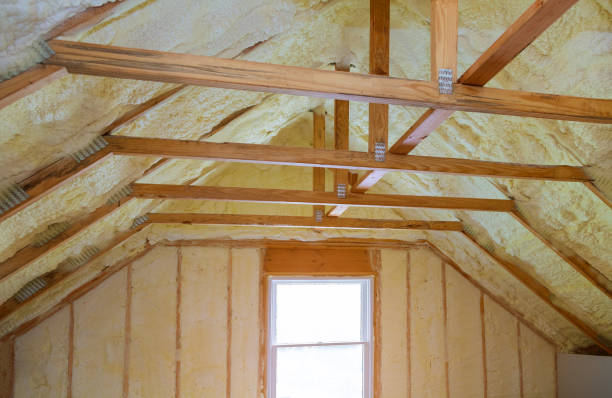 Best Spray Foam Insulation in Ly Lake, IL