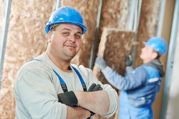 Best Specialized Insulation Services in Ly Lake, IL
