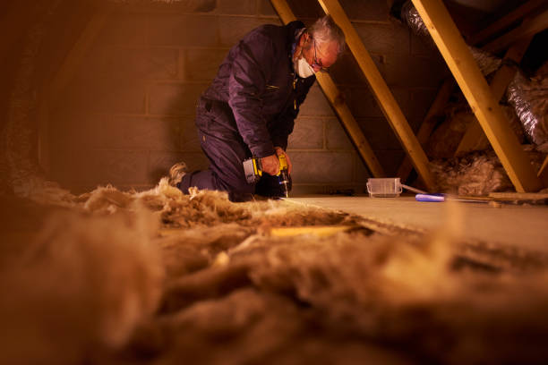 Types of Insulation We Offer in Lily Lake, IL