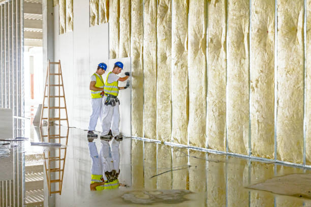 Best Blown-in Insulation in Ly Lake, IL